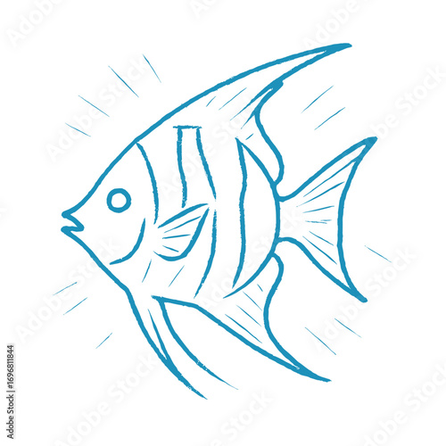 Angelfish illustration in blue line art style on white background  