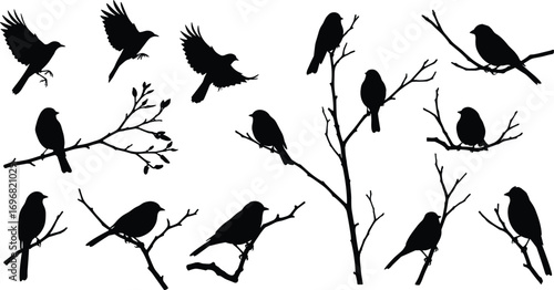 Bird silhouettes flying and perched on tree branches, nature wildlife vector illustration, black bird clipart, isolated on white background