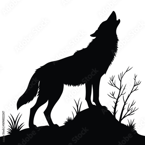 Black silhouette of a wolf howling on a hill with bare branches animal wild