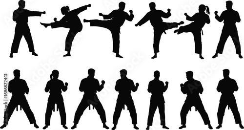 Martial arts silhouette training, karate fighters practicing kicks and punches, martial artists in action poses, self defense practice, combat sports illustration