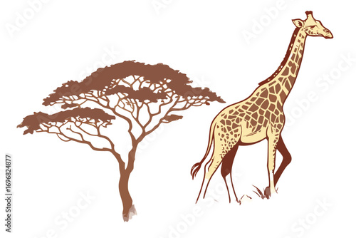 Giraffe standing next to an acacia tree in the savanna