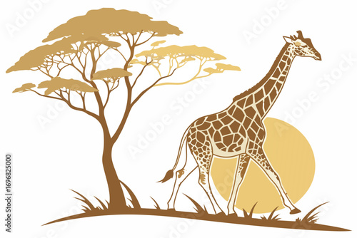 Giraffe and acacia tree with sun in the background