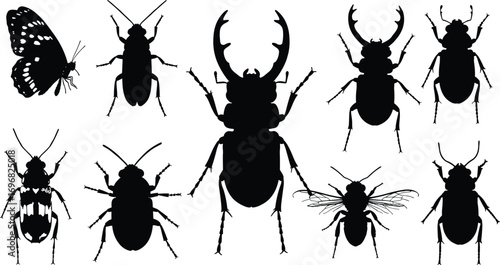 Insect silhouettes, beetles, flies, bugs, mosquito vector, black insects, entomology design, pest illustration, white background, flying insect shapes