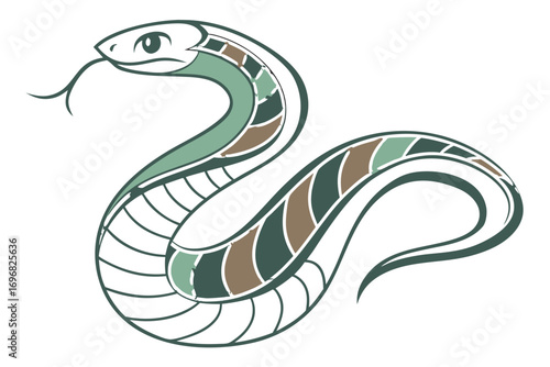 Colorful illustration of a coiled snake with segmented body pattern