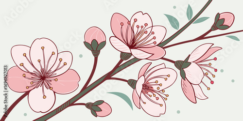 Pink cherry blossom branch with buds and leaves on a light background
