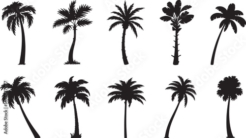 A collection of various black palm tree silhouettes isolated on a transparent background.