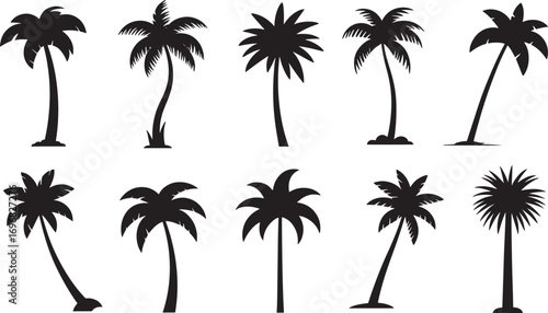 A collection of various black palm tree silhouettes isolated on a transparent background.