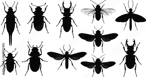 Silhouette vector collection of various insects, beetles, and flying bugs isolated on white background, entomology illustration, black insect icons