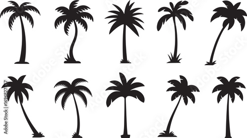 A collection of various black palm tree silhouettes isolated on a transparent background.