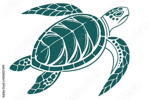 Green sea turtle swimming