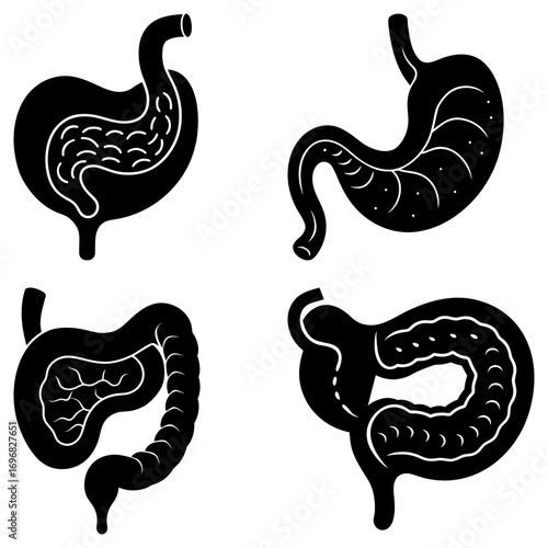 Illustration of four black and white human digestive system organs on a white background in silhouette style