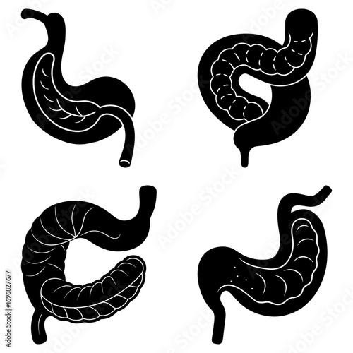 Four diagrams showing different views of the human digestive system in black and white illustration style