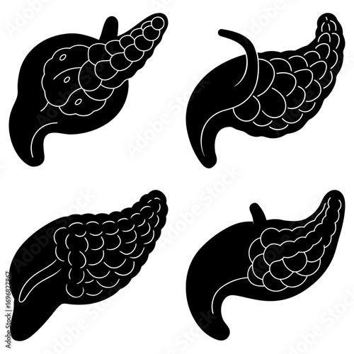 Four stylized pancreas illustrations in black and white showing anatomical organ details and shape variations
