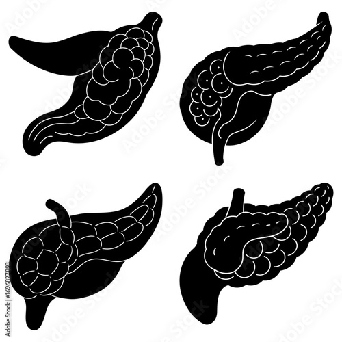 Four pancreas illustrations in black and white showing anatomical details of the human organ system anatomy