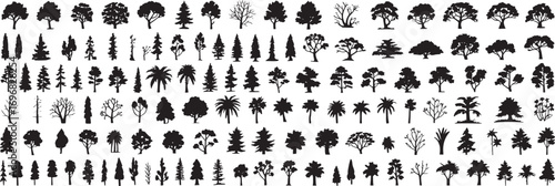 Architectural Tree Silhouette Vector Set – CAD Elevation Line Drawings of Oak, Maple, and Tropical Landscape Design