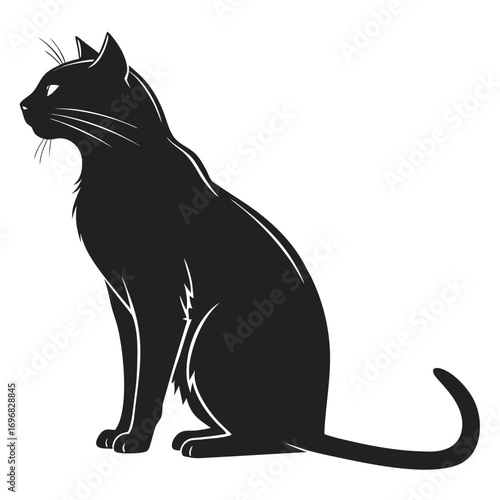 black cat vector illustration