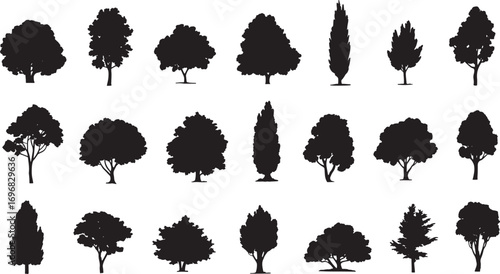 tree silhouettes