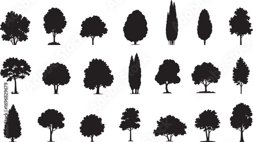 tree silhouettes