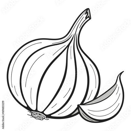 Garlic Illustration Detailed Line Art of a Culinary Staple