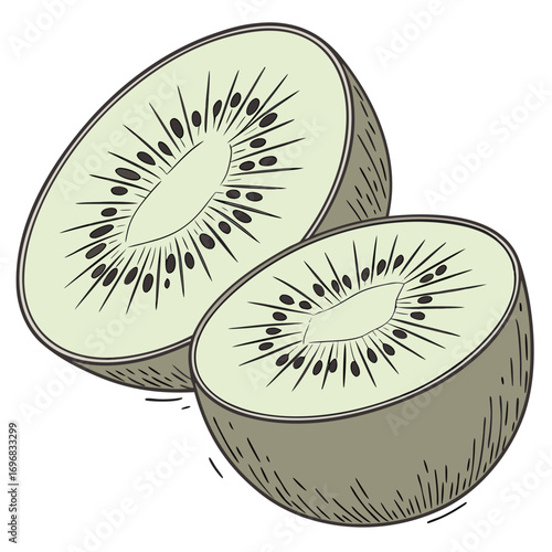 A detailed hand-drawn illustration of a fresh kiwi fruit sliced in half, showcasing its vibrant green flesh and black seeds