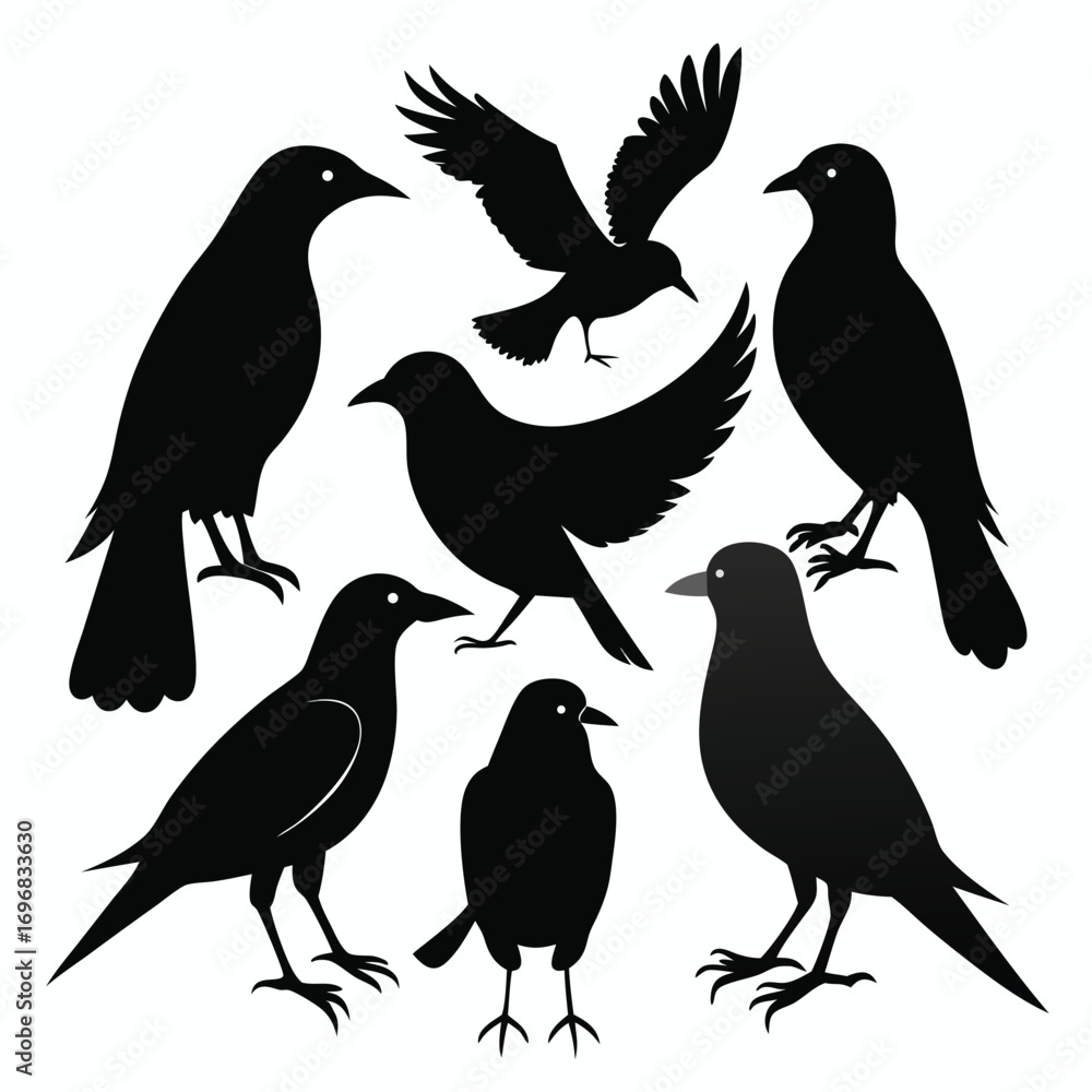 Fototapeta premium Collection of Black Bird Silhouettes in Various Poses on White Background flying