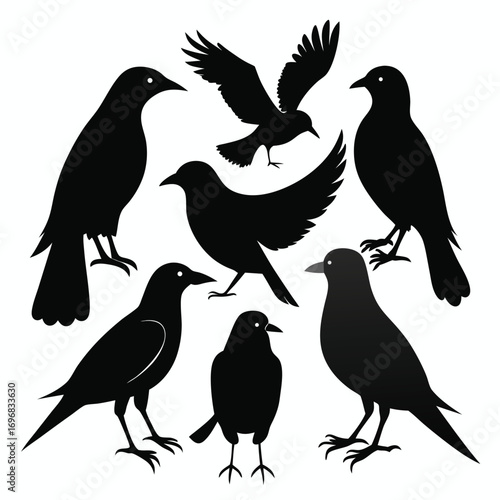 Collection of Black Bird Silhouettes in Various Poses on White Background flying