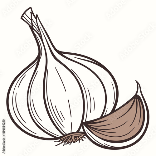 Garlic Illustration A Detailed Line Drawing of a Bulb and Clove