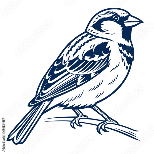Elegant black and white line art illustration of a small sparrow bird perched on a tree branch, isolated on a clean background for design