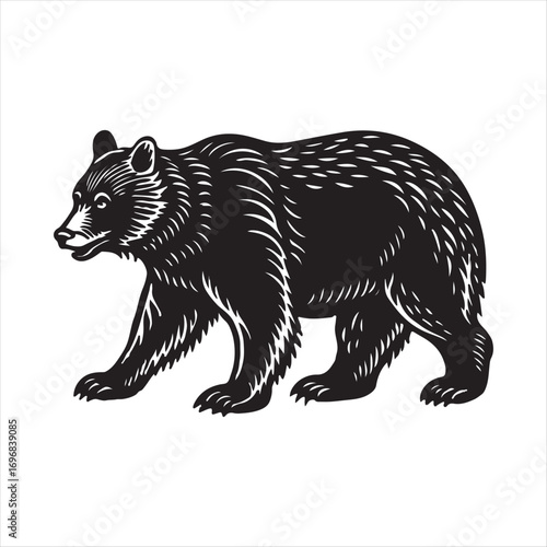 bear vector silhouette sketch art logo design collections.