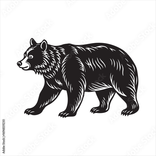 bear vector silhouette sketch art logo design collections.