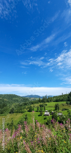 Layered mountain ranges with lush forests and purple wildflowers under a vibrant blue sky, ideal for travel ads, outdoor recreation, or eco-tourism branding