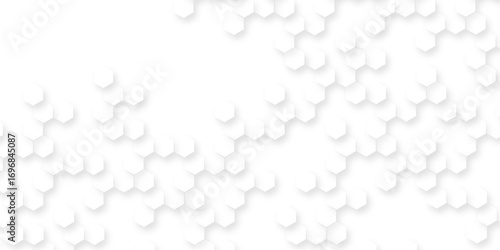 White abstract background with smooth minimal textures, clean light hexagon shapes, modern geometric patterns, elegant soft design, futuristic digital artistic backdrop.