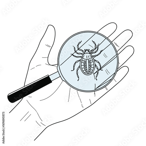 Examining an insect under a magnifying glass held in a hand