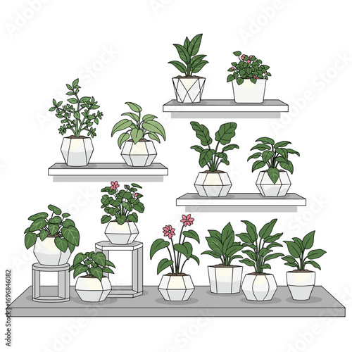 Collection of potted houseplants on shelves and stands providing natural greenery and indoor decoration