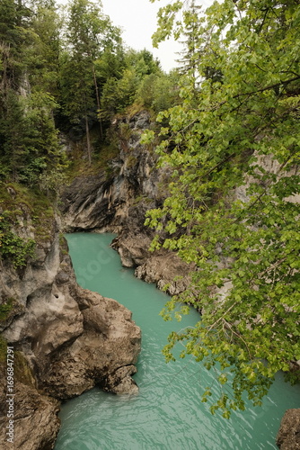 river in the forest, green water