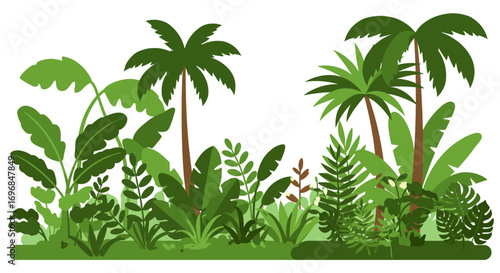 tropical plants and trees in lush green jungle scene
