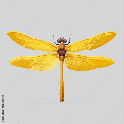 yellow dragonfly delicate vector illustration for entomology and decor
