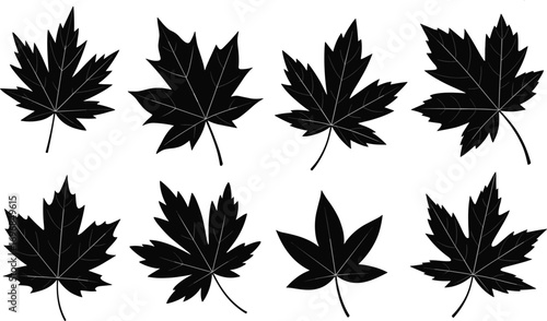 Maple leaf silhouette vector set, autumn foliage collection for seasonal designs, Canadian leaves outline for nature, botanical, and fall graphics.