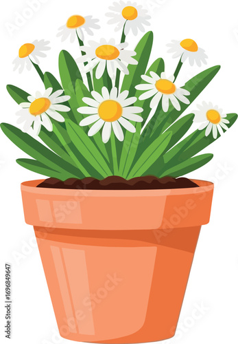 Cheerful daisies bloom vibrantly in a simple terracotta pot, bringing fresh spring color indoors.
