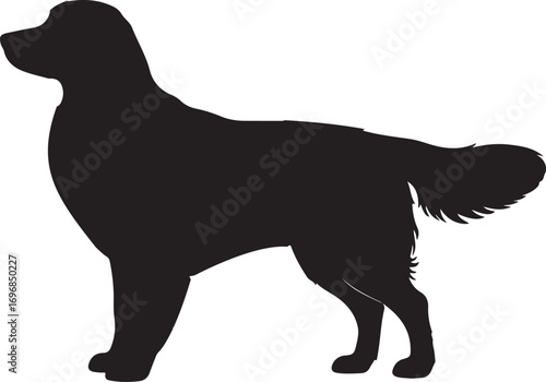 Photos cuty standing dog