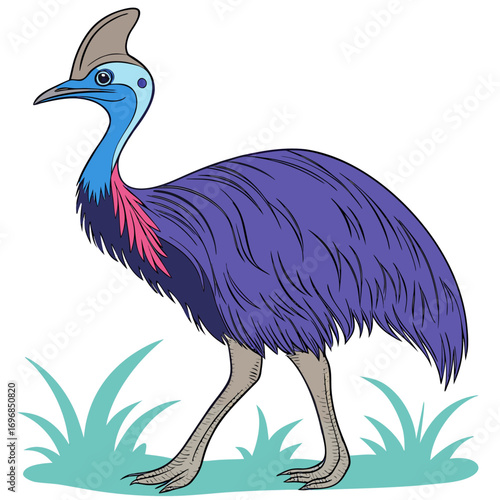 Illustration of a colorful cassowary bird standing in grass