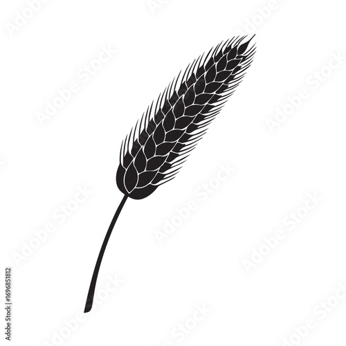 Wheat - ear -single .