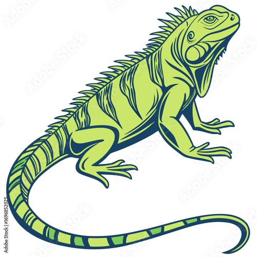 Green iguana reptile