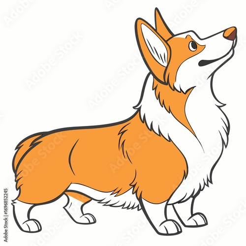 Side profile of a corgi dog standing alertly