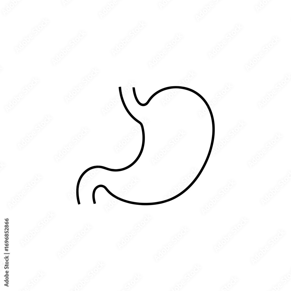 Fototapeta premium A simple black outline of a human stomach isolated on a plain white background in a vector art style