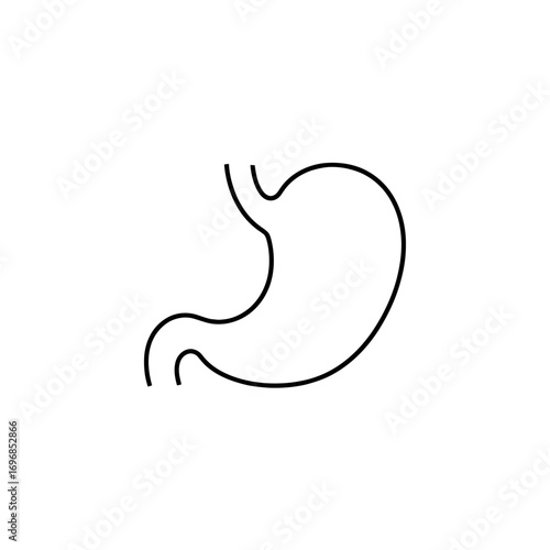 A simple black outline of a human stomach isolated on a plain white background in a vector art style