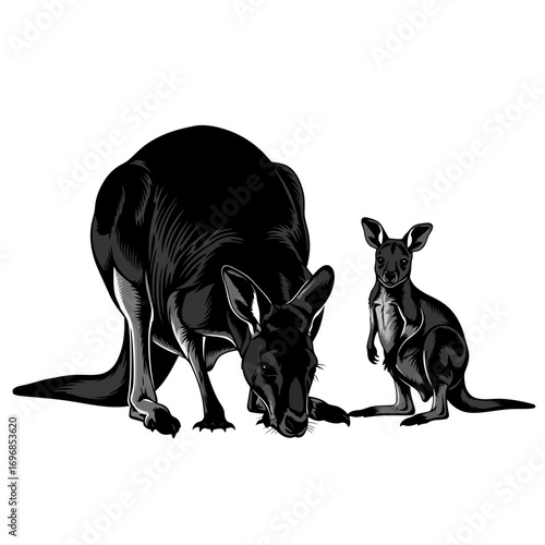 Kangaroo and joey silhouette isolated on white background