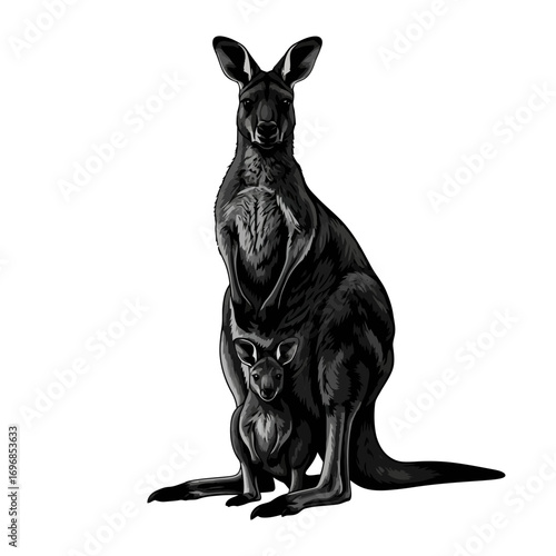 Mother and baby kangaroo silhouette isolated on white background