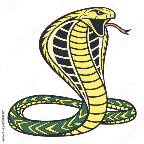 Yellow cobra snake poised to strike