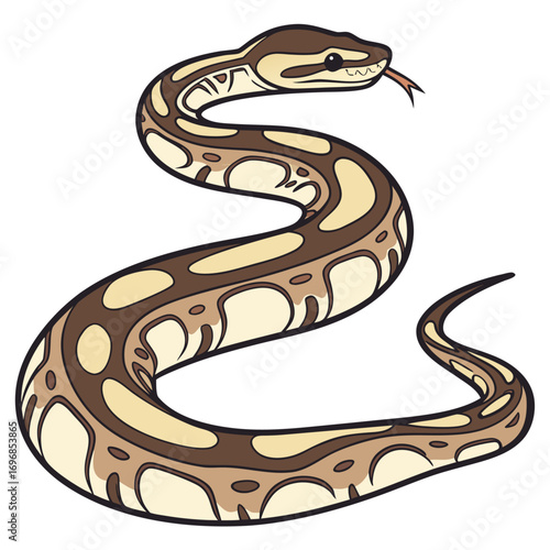 Stylized illustration of a ball python snake in an sshape with brown markings